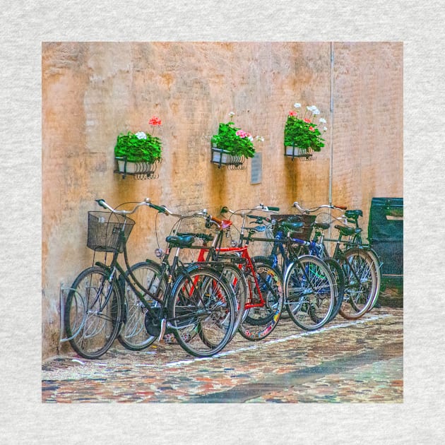 Bicycles Neatly Parked, Copenhagen by BrianPShaw